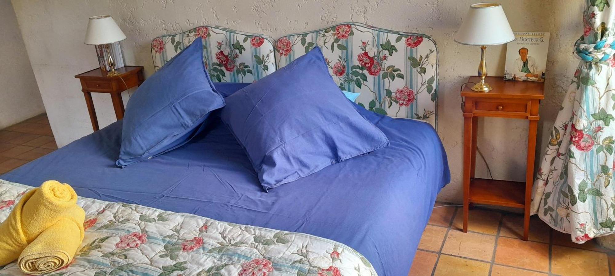 Logis De Chenac - Chambres Et Table D'Hotes Chenac Saint Seurin d'Uzet Dış mekan fotoğraf